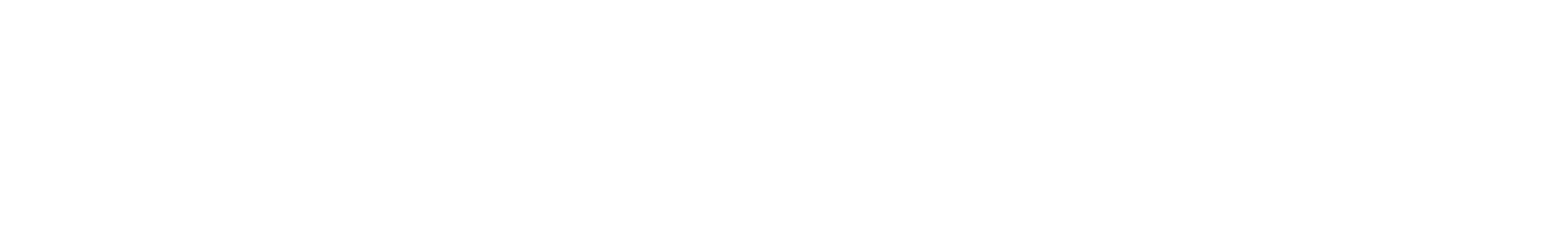 logo white SimAdditions